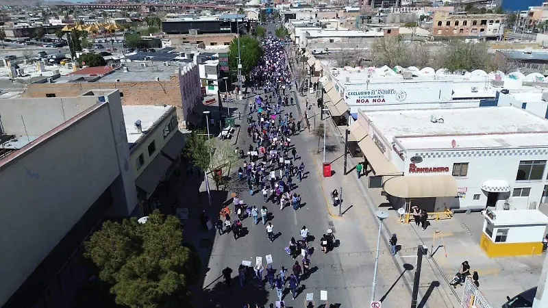 MARCHA INCLUYENTE 2026 8M